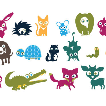 Astute Hoot Illustrations