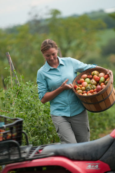 W43301aqu_38506pew_SS12-4308