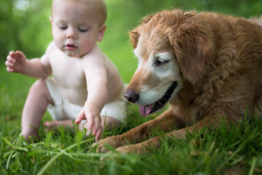 2016_5_29_Foster_web-7