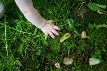 2016_5_29_Foster_web-8